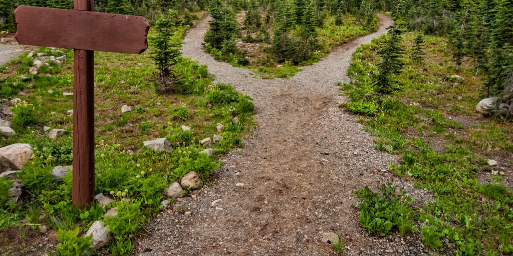 A fork in a path