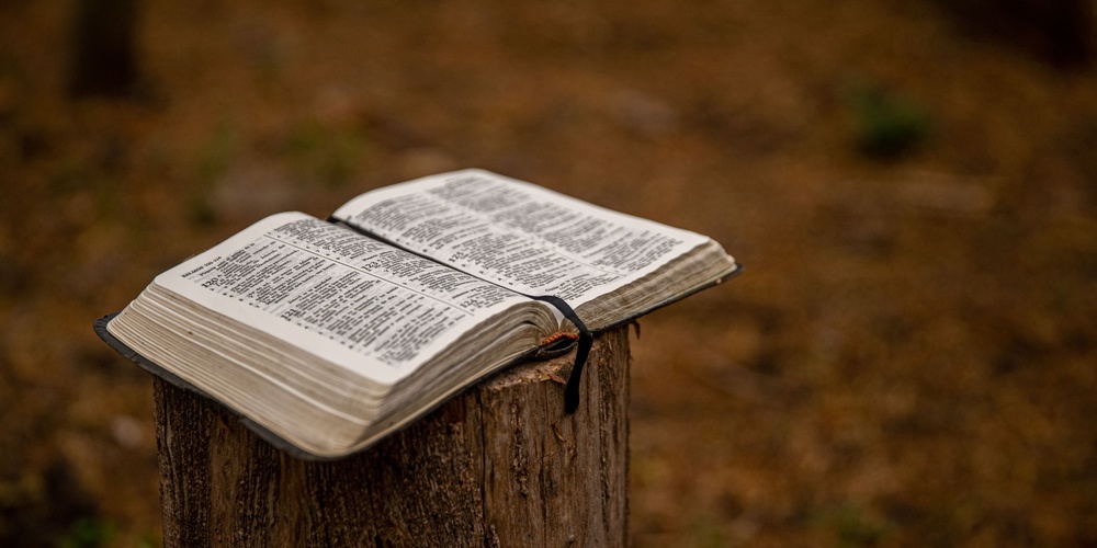 An open Bible on a tree stump